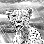 Manuel Gutierrez